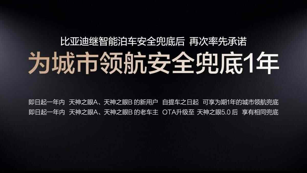 重估比亞迪，從智駕開始