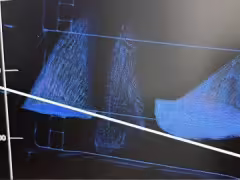 AI 算法助力打擊海洋野生動物走私,識別準確率達 92%