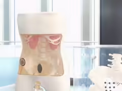 國內企業研發出全球首款腦控“人工膀胱”系統，未來還有人工括約肌、人工腎臟