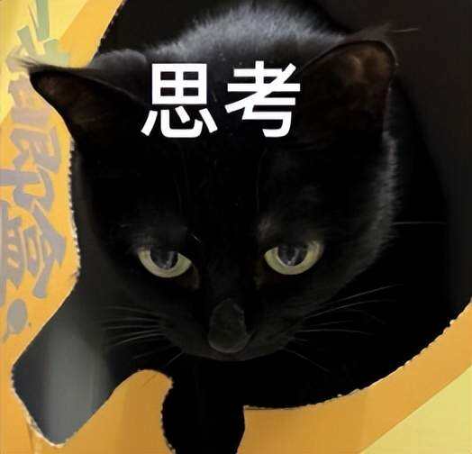 AI看病成為醫患新包袱?補上「多輪追問」,通用AI才邁得過醫療關