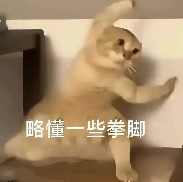 階躍入局,重構智能體時代操作系統