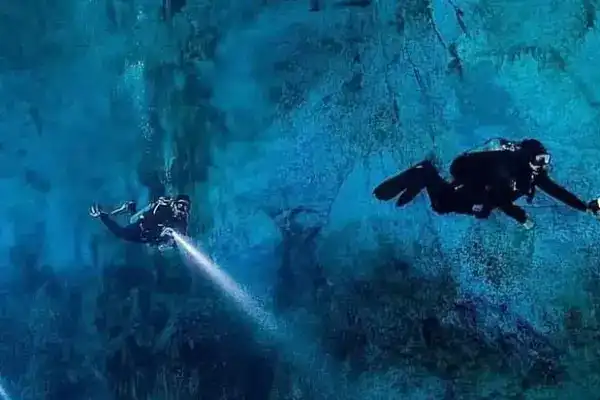 硬氪首發 | 大疆系AI自然探索公司獲五源、順為投資，首創水下光學系統